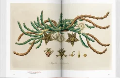 A Garden Eden 40th Ed