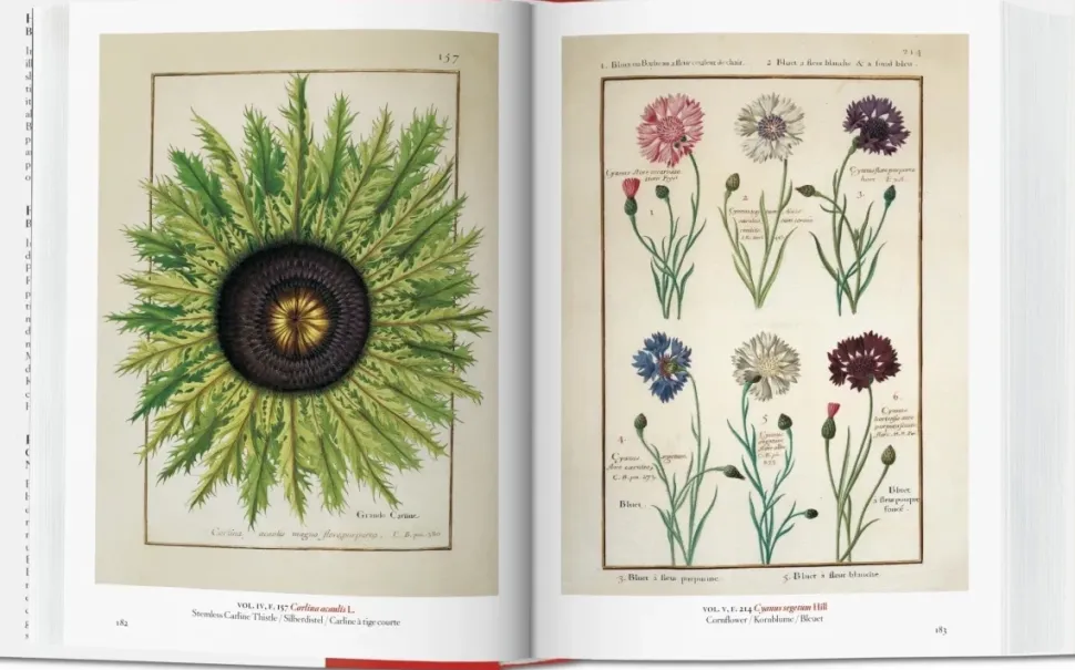 A Garden Eden 40th Ed