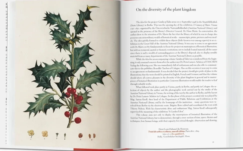 A Garden Eden 40th Ed