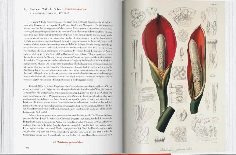 A Garden Eden 40th Ed