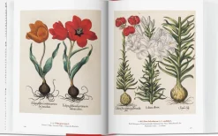 A Garden Eden 40th Ed