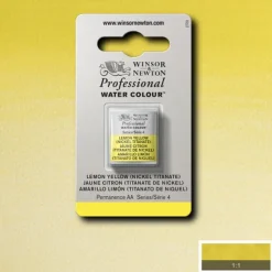 Acuarela medio godet Professional Winsor and Newton