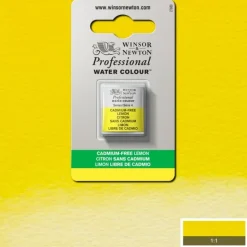 Acuarela medio godet Professional Winsor and Newton