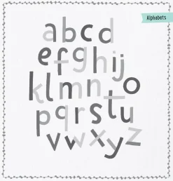 An introduction to hand lettering with decorative elements