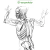 Anatomía artística 03 El esqueleto