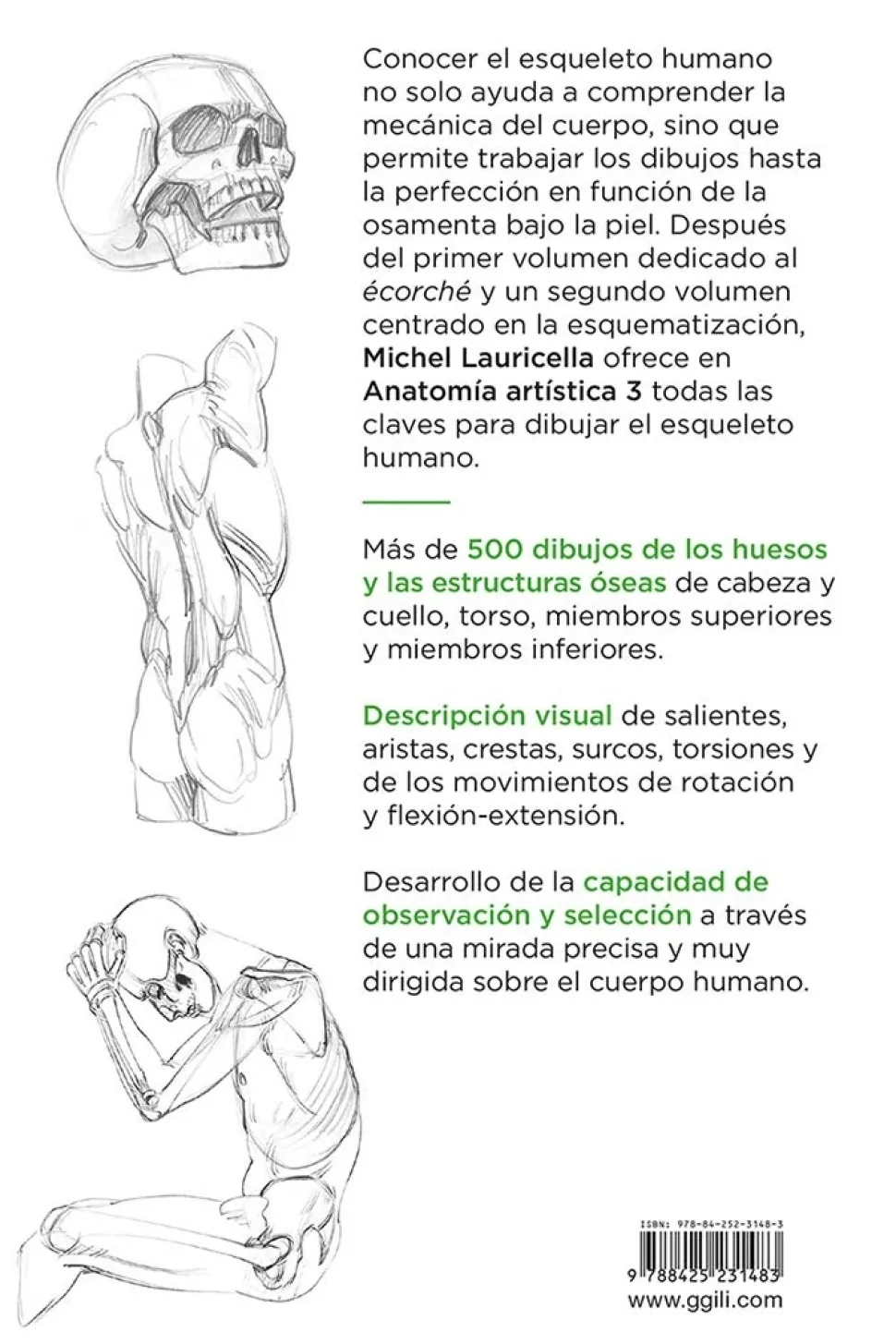 Anatomía artística 03 El esqueleto