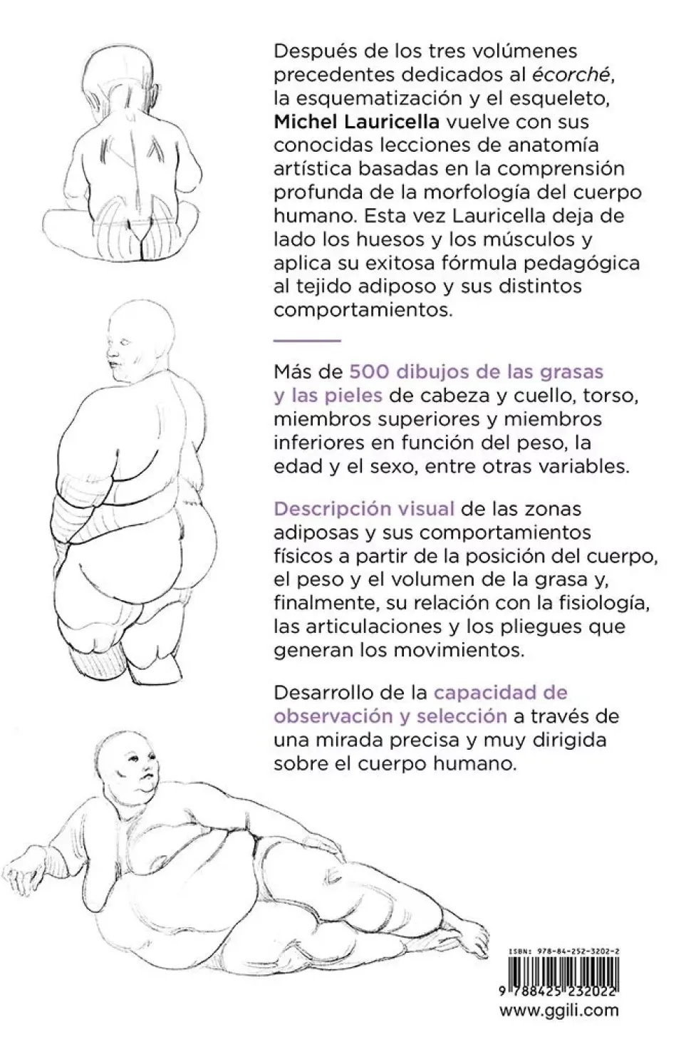 Anatomía artística 04 Grasas y pliegues de la piel