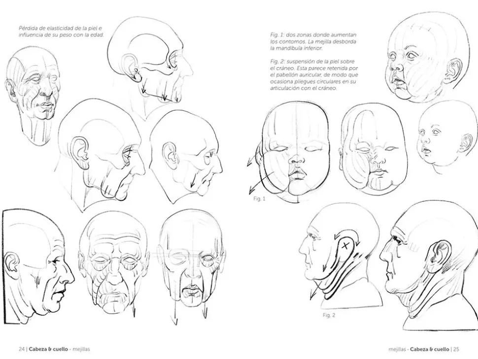 Anatomía artística 04 Grasas y pliegues de la piel