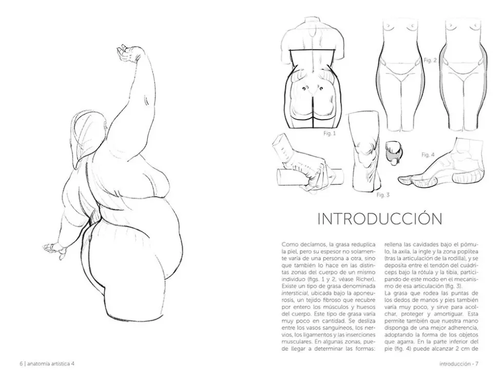 Anatomía artística 04 Grasas y pliegues de la piel