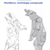 Anatomía artística 09 Mamíferos morfología comparada