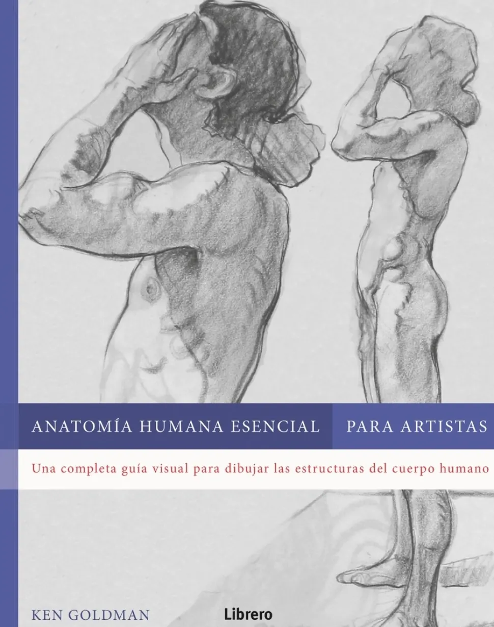 Anatomía humana esencial para artistas