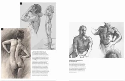 Anatomía humana esencial para artistas
