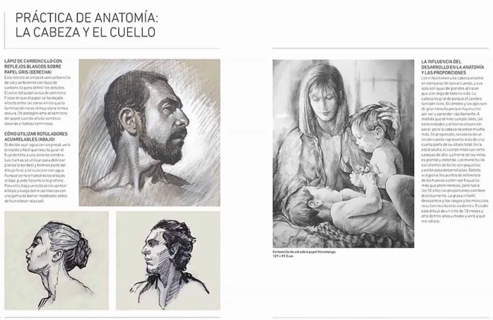 Anatomía humana esencial para artistas