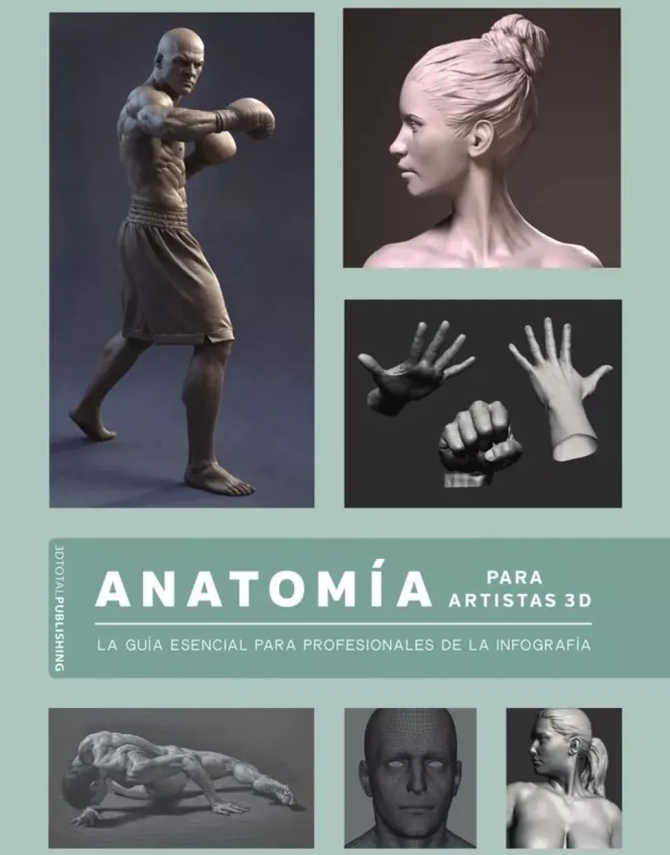 Anatomía para Artistas 3D