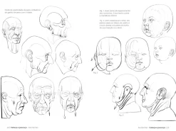 Anatomia artística 4 Gustavo Gili (Portugués)