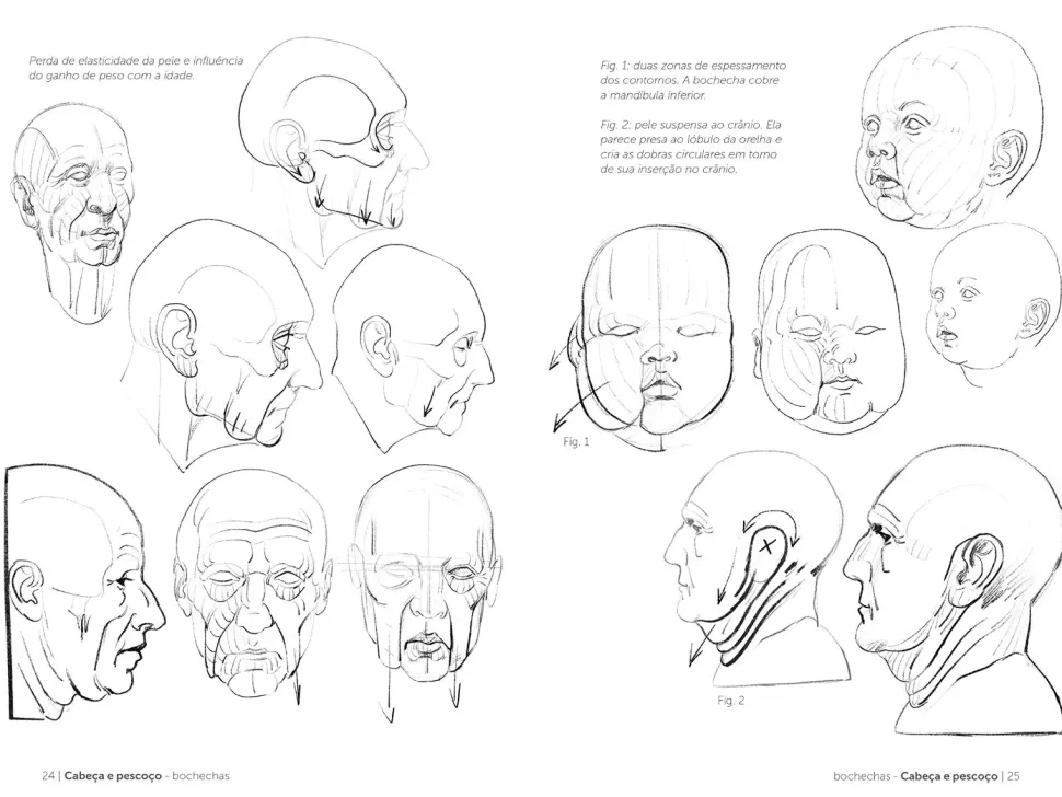 Anatomia artística 4 Gustavo Gili (Portugués)