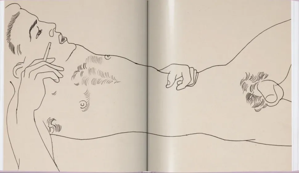 Andy Warhol Love, Sex, and Desire