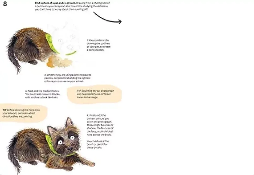 Animal Art 101 Creative Activities to Inspire and Guide You