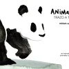 Animalia trazo a trazo