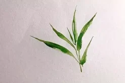 Bloc Acuarela Bamboo Clairefontaine 21x16cm