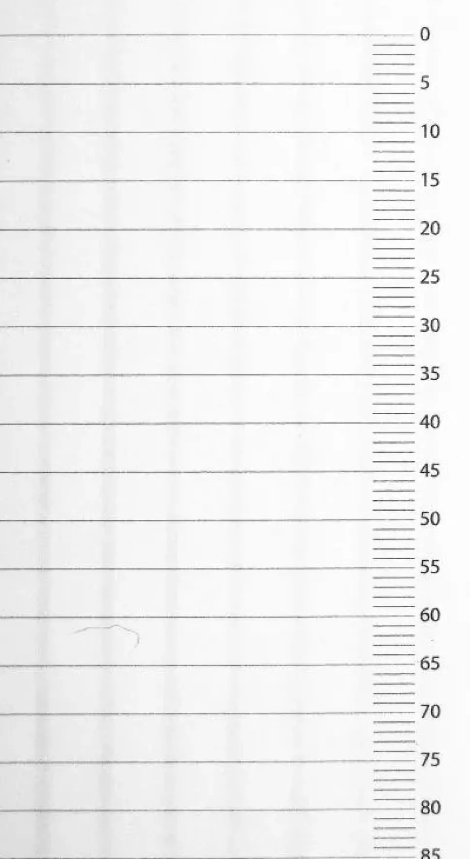 Bloc de caligrafía A3 Brause