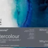 Bloc encolado acuarela grano grueso Winsor & Newton 30,5x40,6cm 300gr