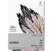 Bloc Papel Bristol Extraliso Winsor & Newton A3 250g