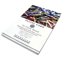 Bloc Pastel Card Sennelier 16x24 cm 360g/m²