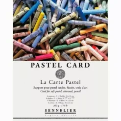 Bloc Pastel Card Sennelier 39,5x59,5cm 360g/m²