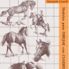 Caballos modelos para dibujar con cuadrícula