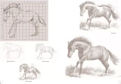 Caballos modelos para dibujar con cuadrícula