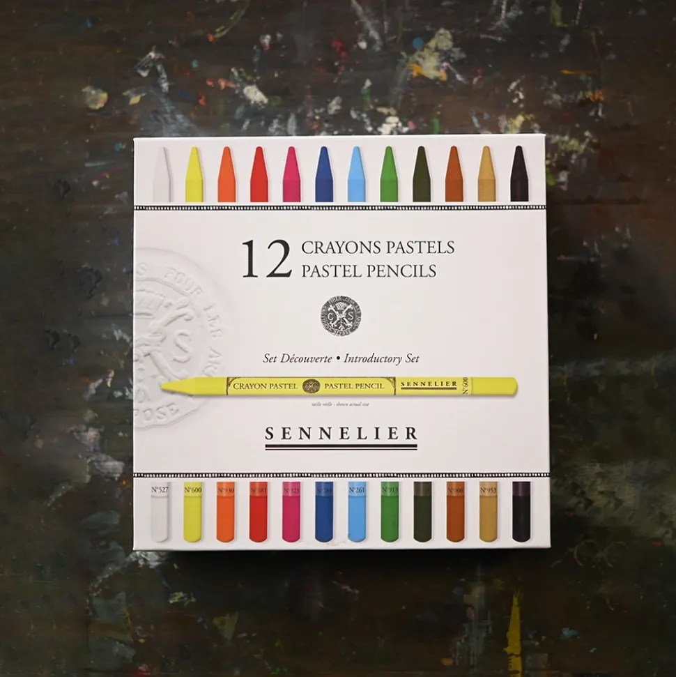 Caja 12 minas lápiz pastel surtidos Sennelier