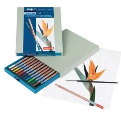 Caja Madera de 12 Lápices Acuarelables Bruynzeel - Sakura