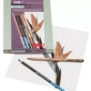 Caja Madera de 12 Lápices con esfuminio para Dibujo Bruynzeel - Sakura