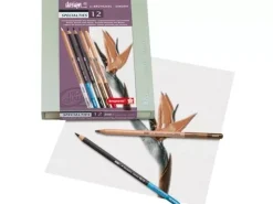Caja Madera de 12 Lápices con esfuminio para Dibujo Bruynzeel - Sakura