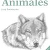 Clase de dibujo Animales