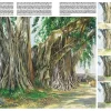 Colección Leonardo 45 Árboles y hojas