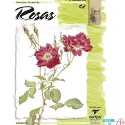 Colección Leonardo 42 Rosas