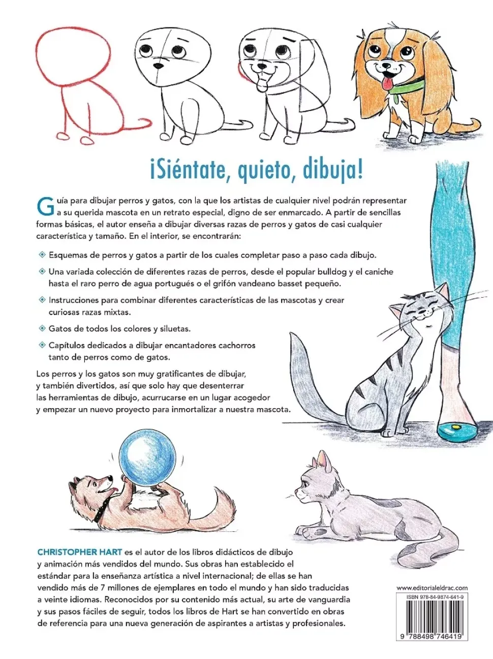 Como dibujar perros y gatos a partir de formas básicas