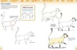 Como dibujar perros y gatos a partir de formas básicas