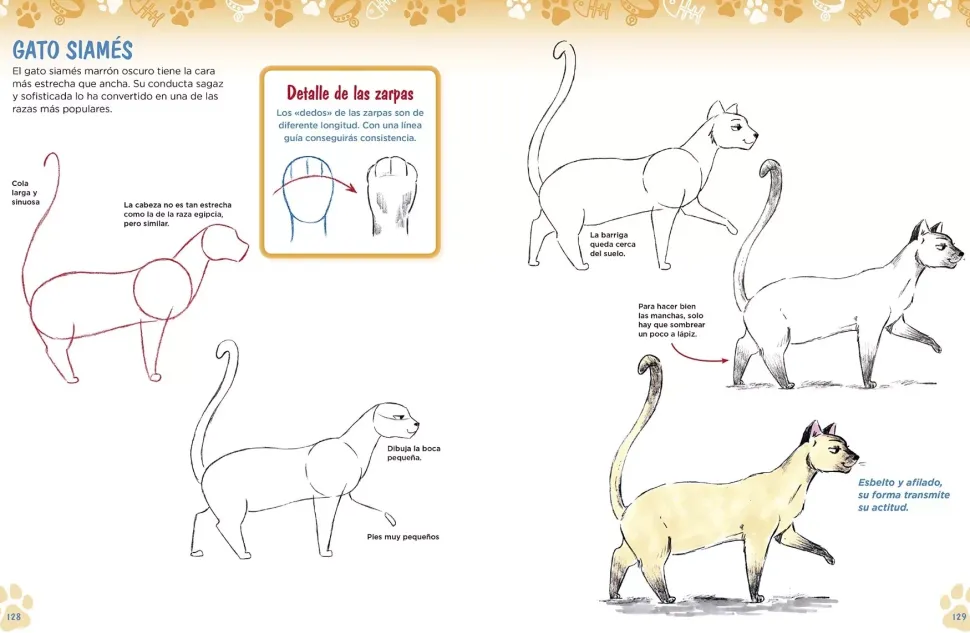 Como dibujar perros y gatos a partir de formas básicas