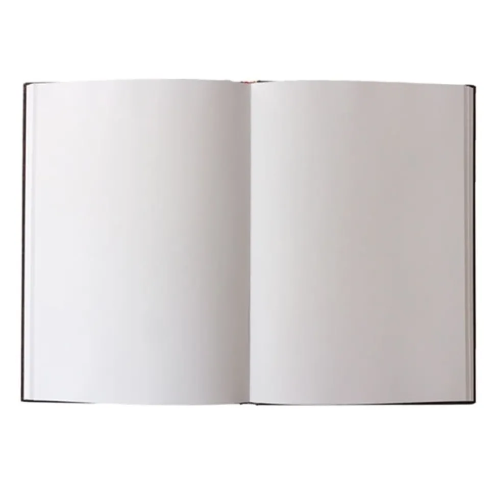 Cuaderno de dibujo liso Lirios de Van Gogh Paperblanks 20,5x30cm 200g/m²
