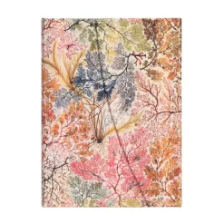 Cuaderno de tapa dura Midi rayado Anémonas Paperblanks 12x18cm 120g/m²