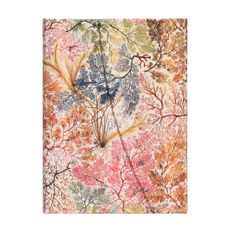 Cuaderno de tapa dura Midi rayado Anémonas Paperblanks 12x18cm 120g/m²