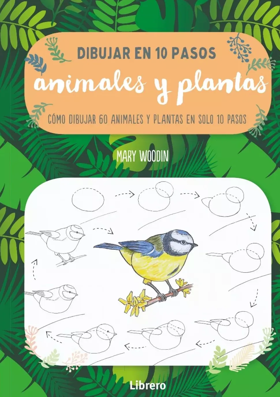 Dibujar Animales y Plantas en 10 Pasos
