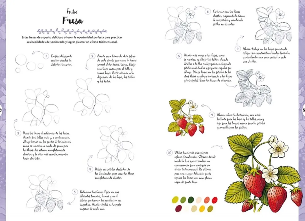 Dibujar en 10 pasos flores y plantas silvestres