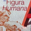 Dibujo de Figura Humana