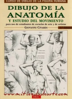 Dibujo de la anatomía y estudio del movimiento