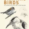 Drawing Birds A Complete Step-by-Step Guide