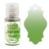 Dry Magic Paint Pale green Fabrika Decoru